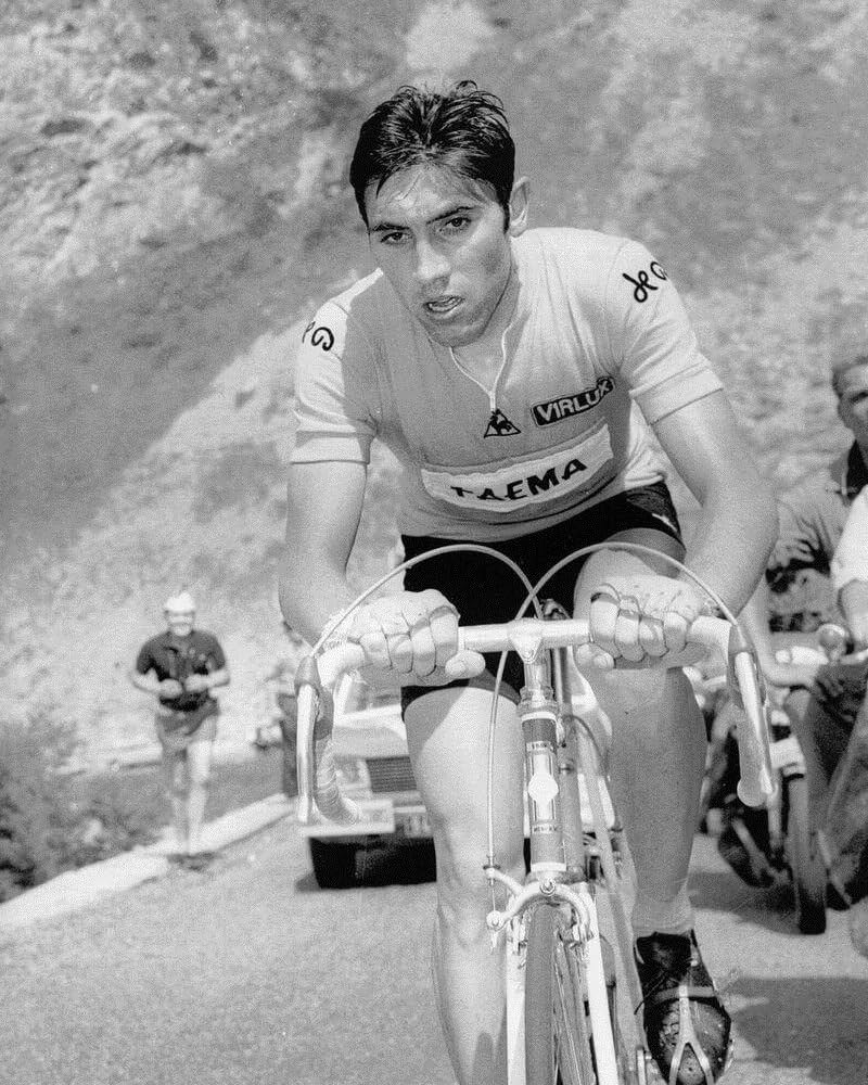 Merckx bicycles