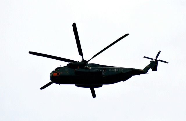 KDF officers