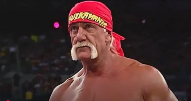 Hulk Hogan WWE legacy
